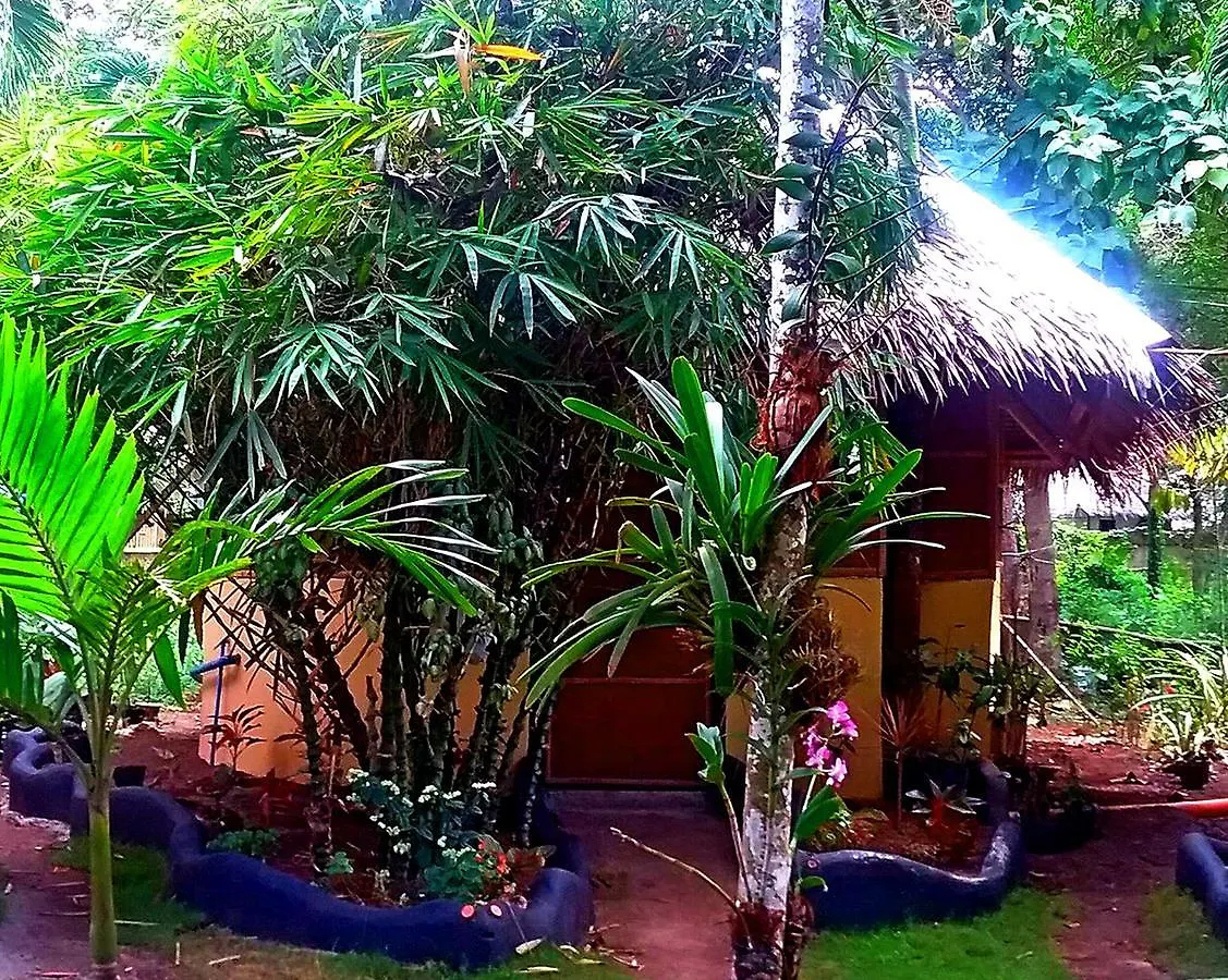 Lennon'S Place Backpacker Hostel Panglao